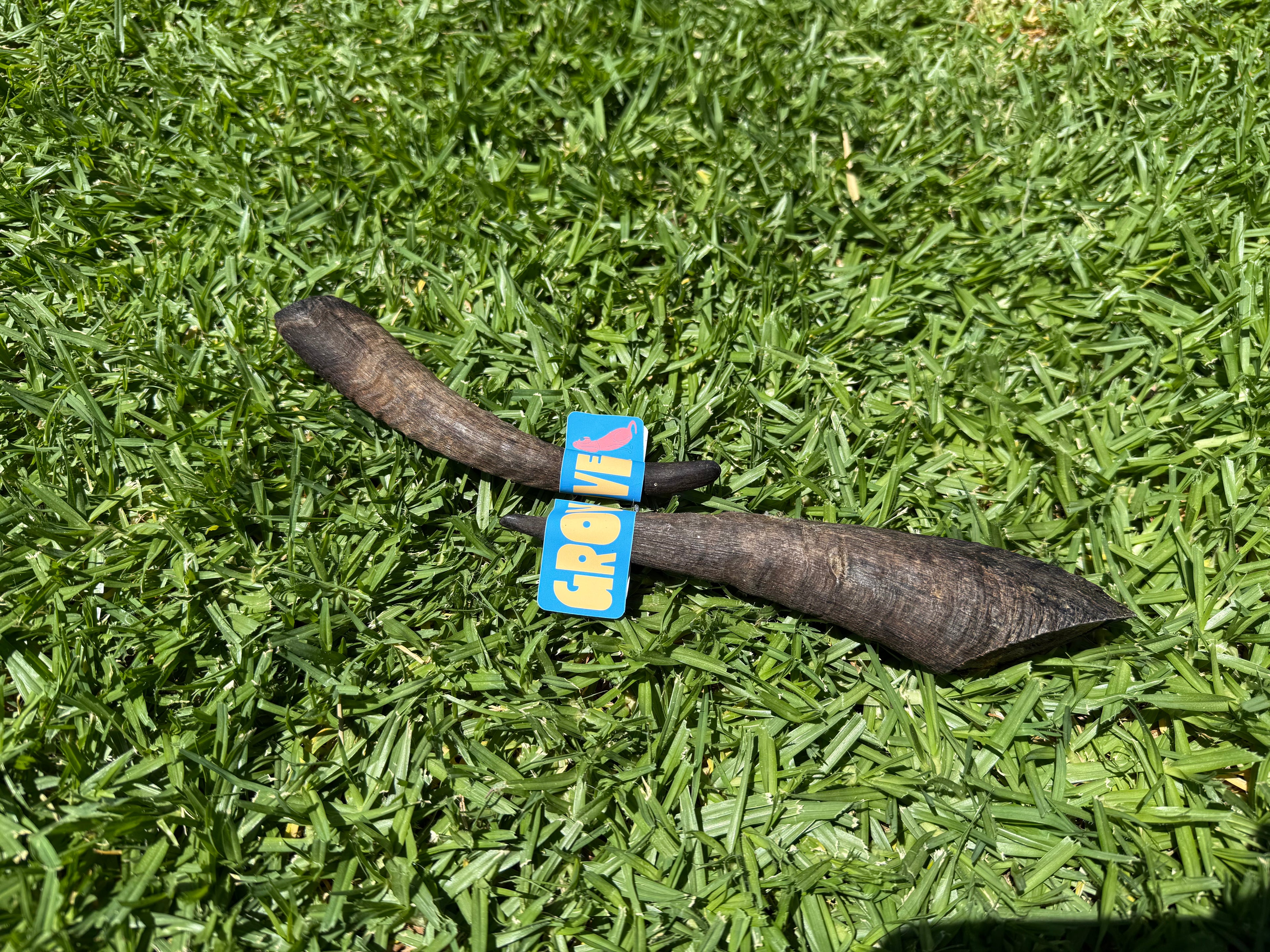 The GOAT Horn