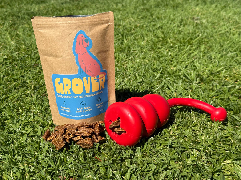 The Grover Stuff & Chew Treats Toy