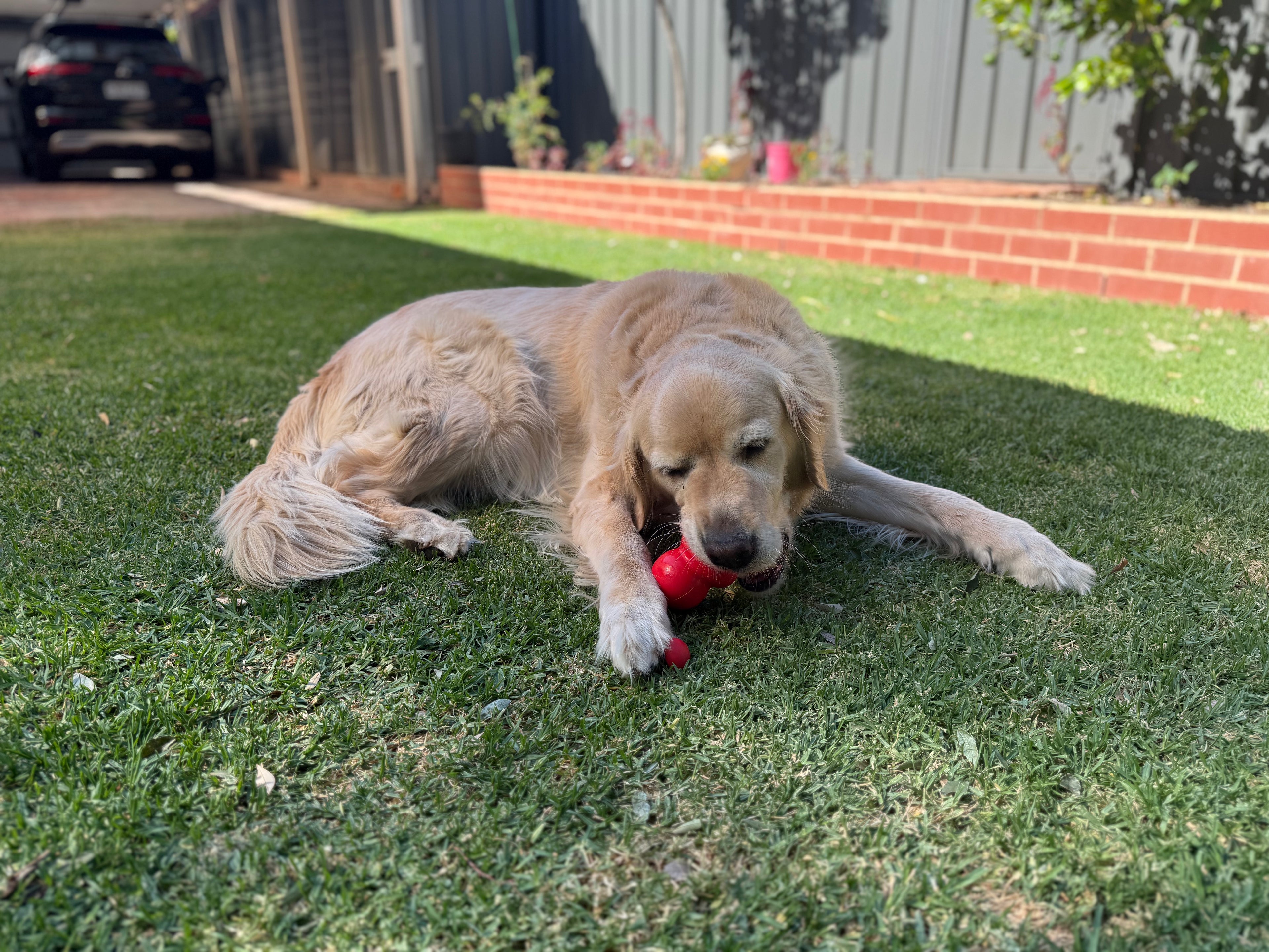 The Grover Stuff & Chew Treats Toy