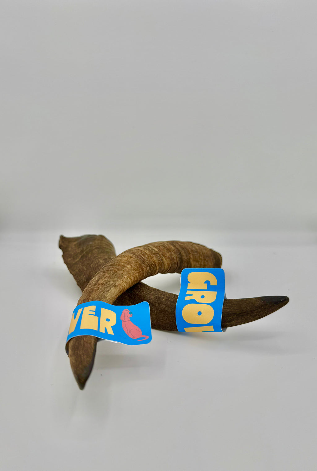 The GOAT Horn