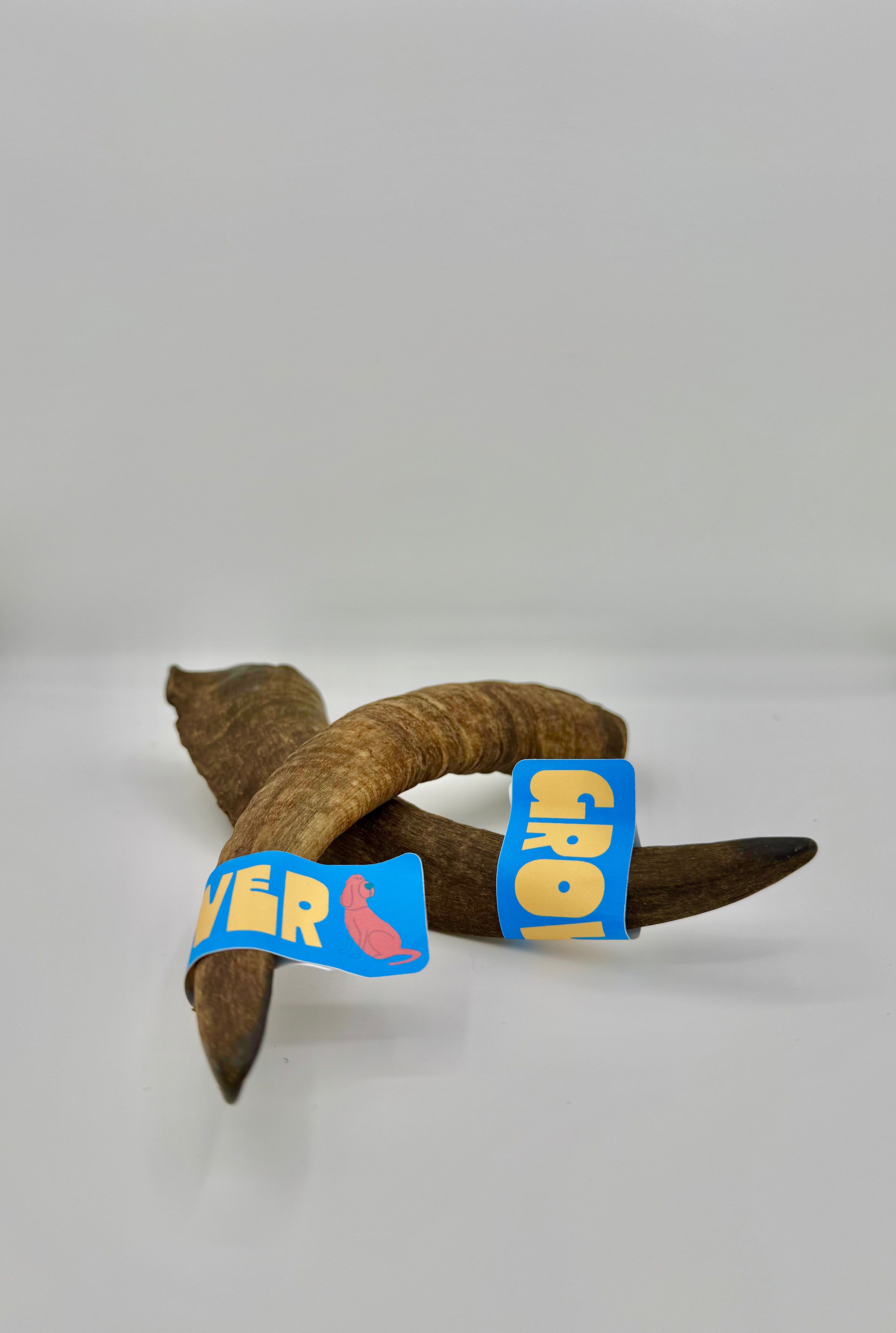 The GOAT Horn